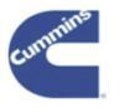 cummins from ICMPL