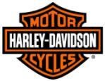 motor hardly davidson from ICMPL